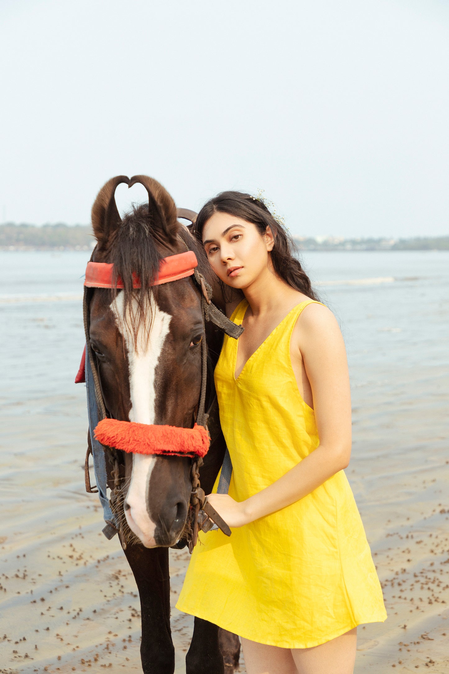 Lemon Dress